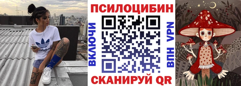 Псилоцибиновые грибы мицелий  где купить наркоту  Бабушкин 